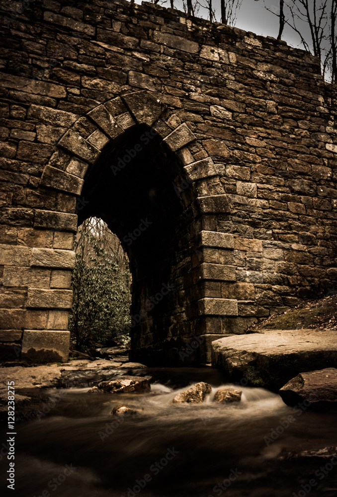 Obraz premium The Bridge