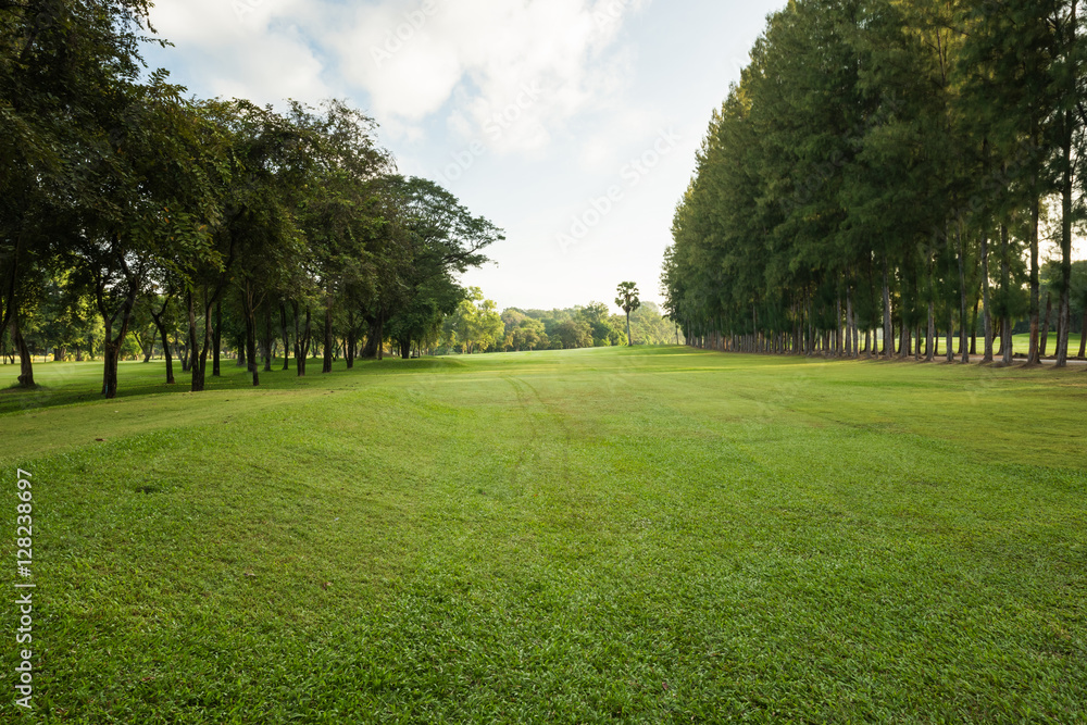 Beautiful morning light in public park with green grass