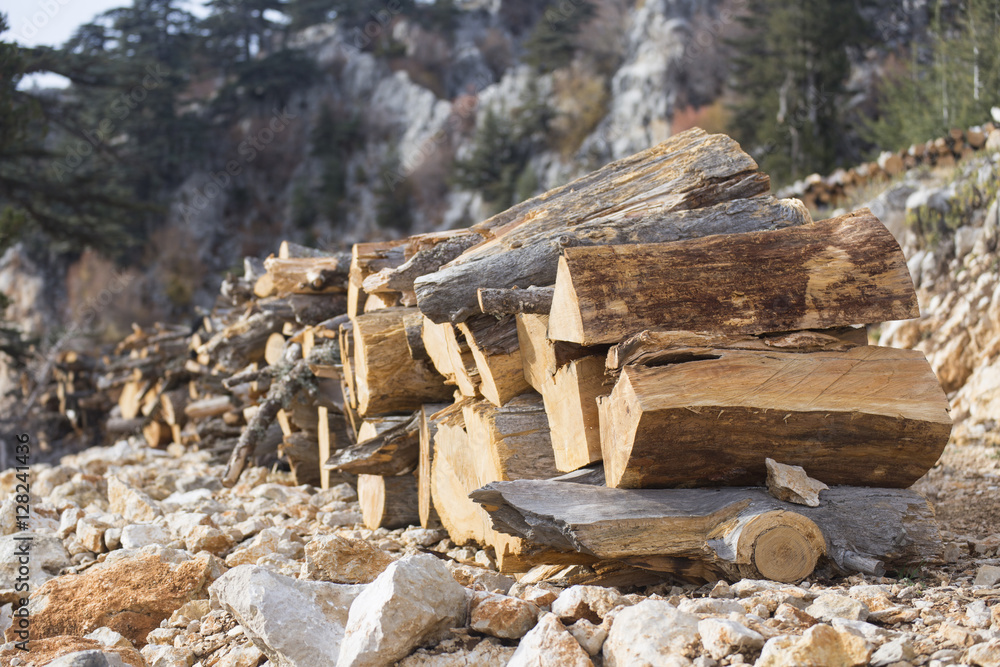 Fototapeta premium Firewood.