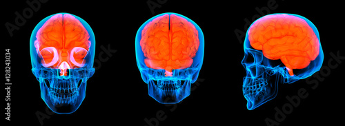 3d render human red brain X ray