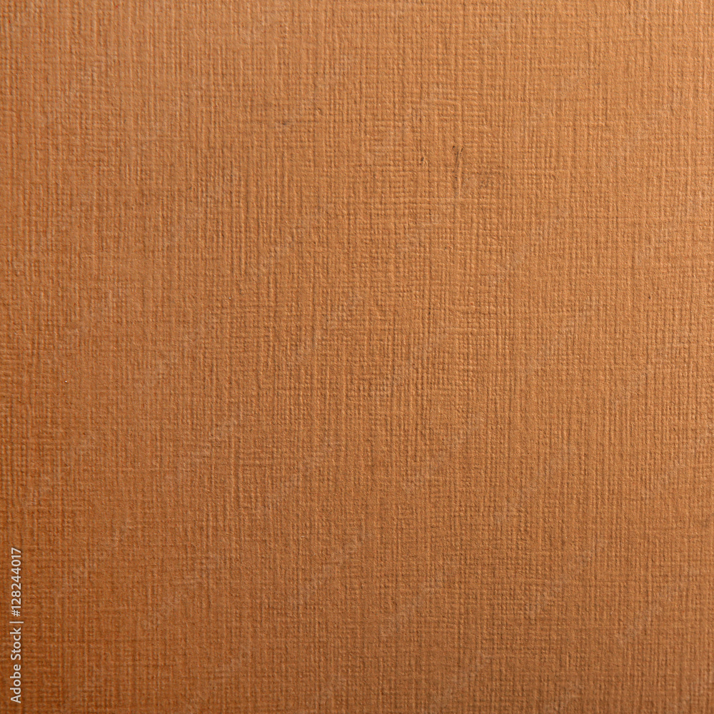 Fototapeta premium Paper textured background