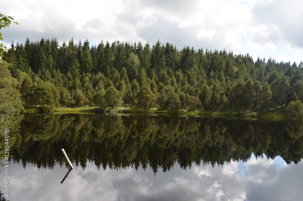 Fototapeta premium Moorsee