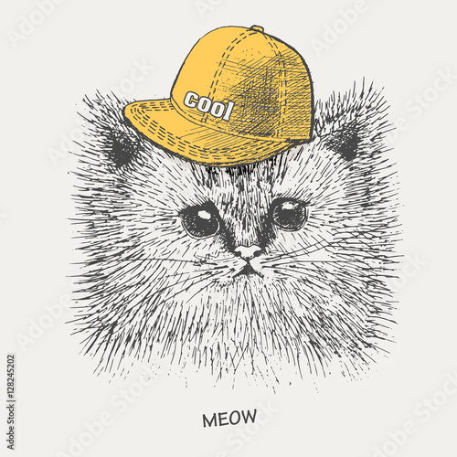 kitten in rapper cap. vector.