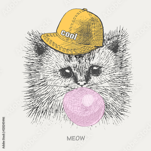kitten rapper cap inflates chewing gum. vector.