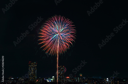 Colorful fireworks in Tokyo , Japan © takadahirohito