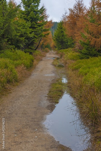 Trail in Polish part of Jizera Mountains - autumn