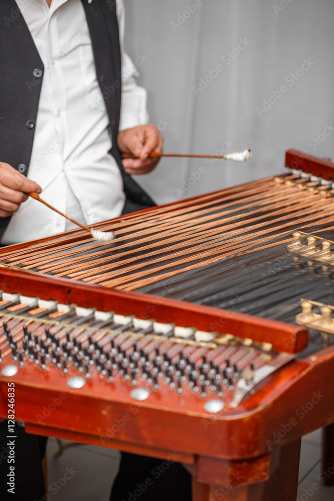 Dulcimer musical instrument