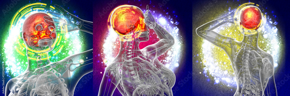 3d render medical illustration of the upper skull 3d render medical illustration of the upper skull