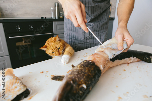 Male cook in the kitchen cut the pike. Red Cat pulls a paw to the fish.