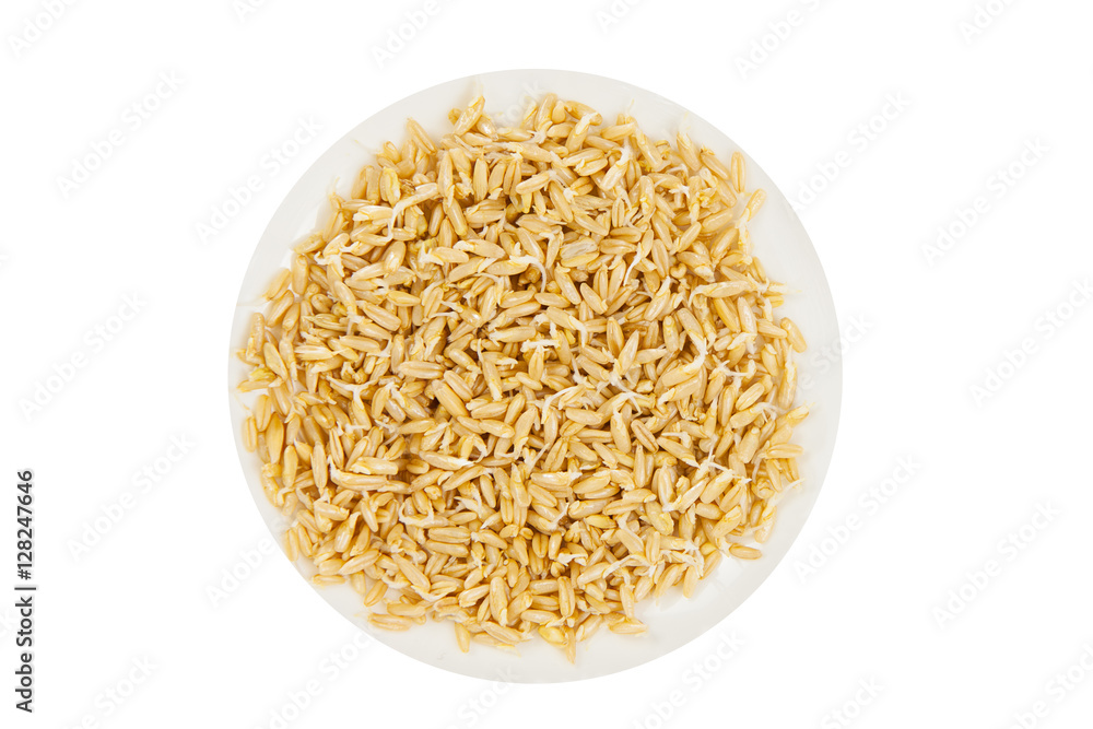delicious tasty sprouts on beautiful plate delicious tasty sprouts on beautiful plate
