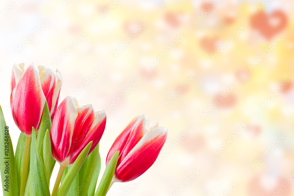 Valentines Day Background with Tulips Valentines Day Background with Tulips