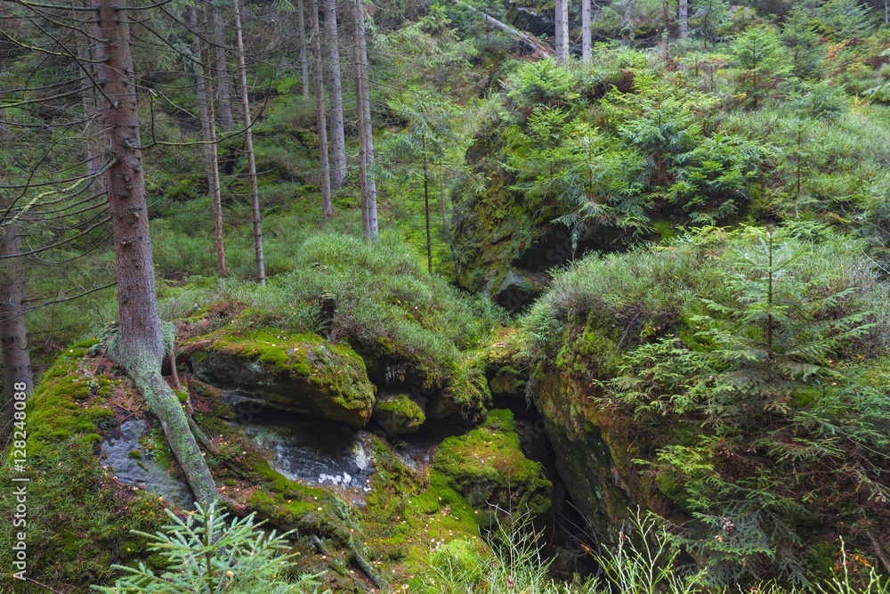 National Park of Czech Republic Teplice rocks. Rock Town. National Park of Czech Republic Teplice rocks. Rock Town.