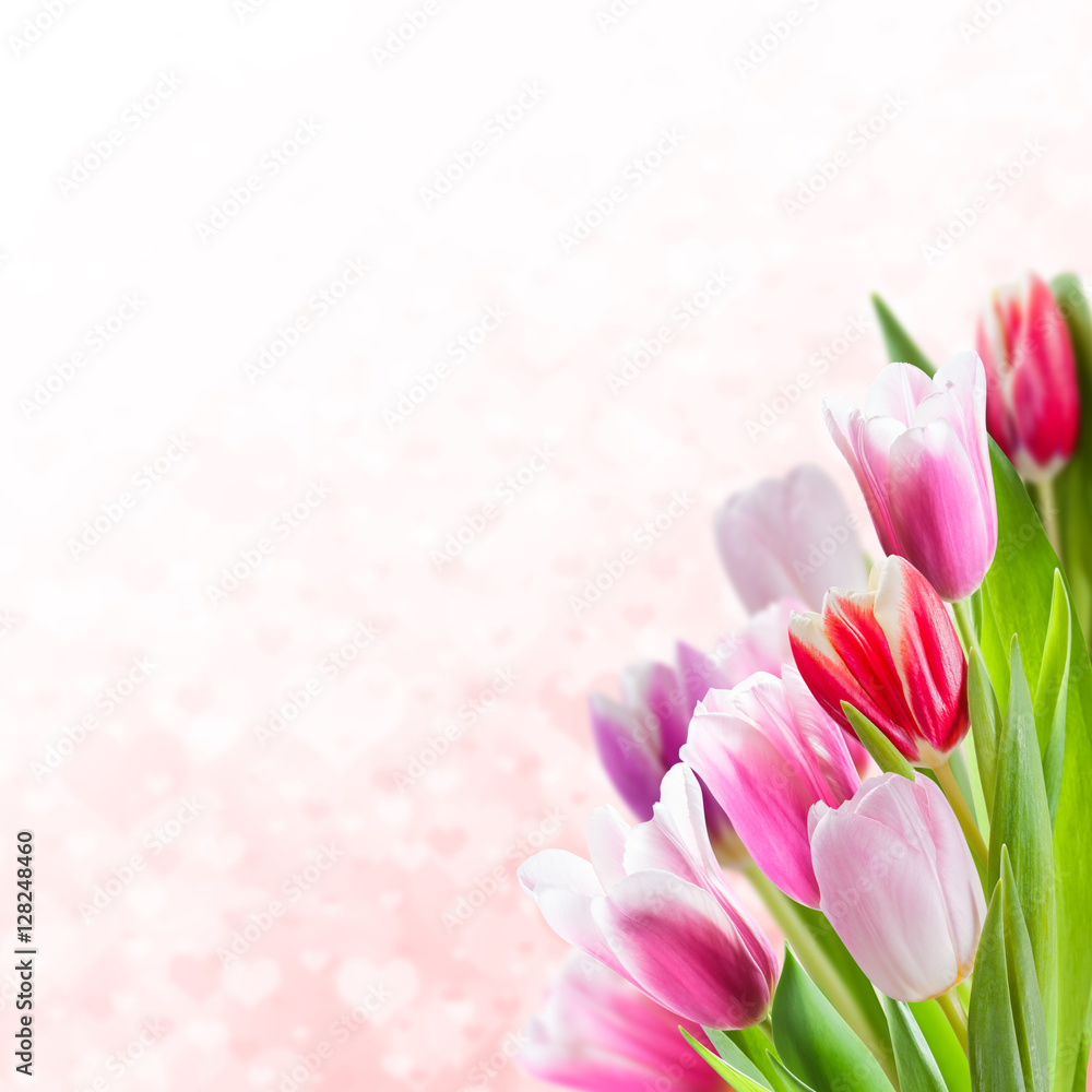 Valentines Day Background with Tulips Valentines Day Background with Tulips