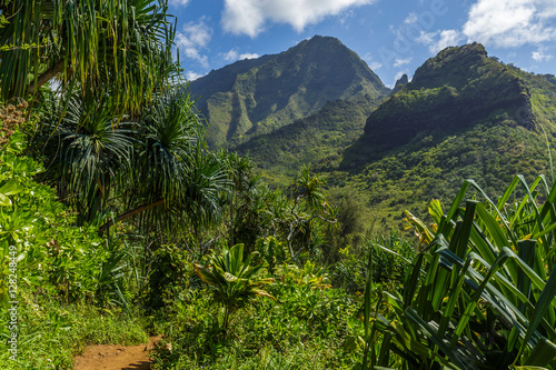 Steep mountains and jungle on the Kalalau trail, Kauai, Hawaii.