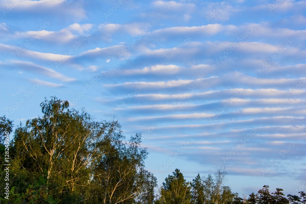 Fototapeta premium white stripes in the blue sky
