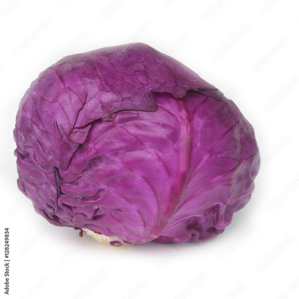cavolo rosso crudo intero isolato su sfondo bianco cavolo rosso crudo intero isolato su sfondo bianco