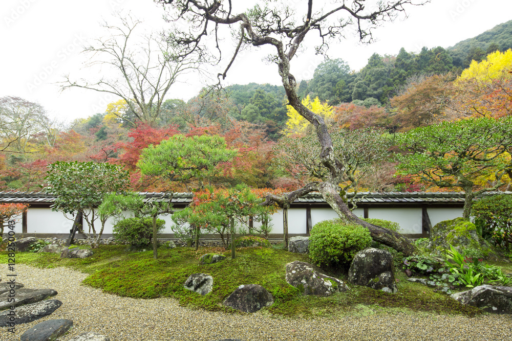 Obraz premium 秋色の庭園
