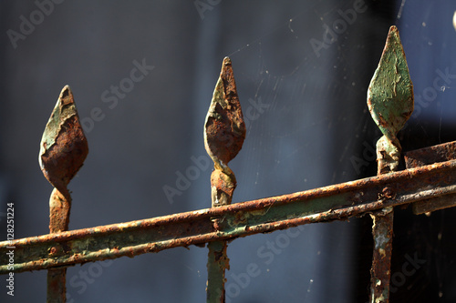 Alter verwitterter  Gartenzaun aus Gußeisen photo