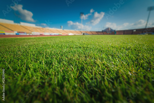 Green grass in soccer stadium