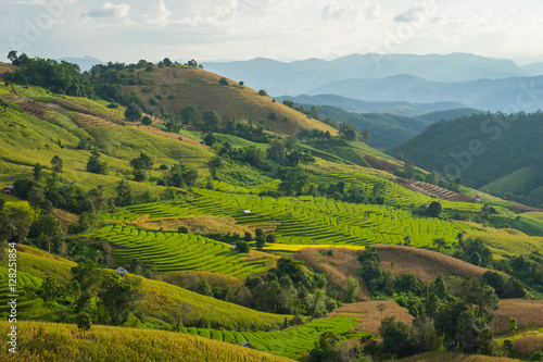 Rice terraces on hill in Chiang Mai, Thailand