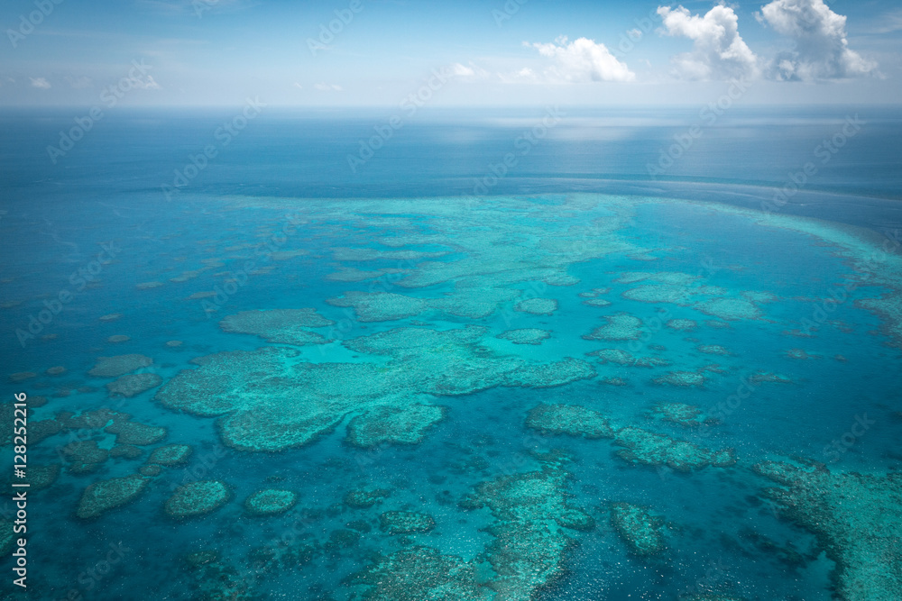 Fototapeta premium Great Barrier reef from above, Queensland, Australia