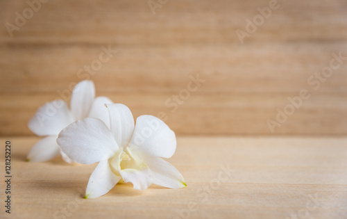 White orchid flower on brown wooden background