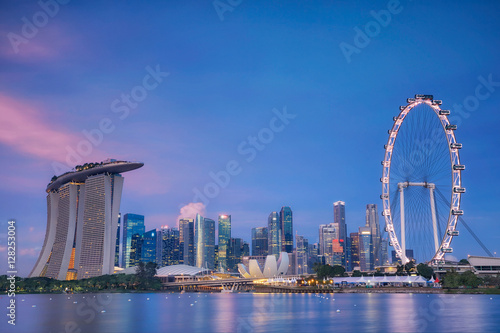 Singapore skyline at the Ma...