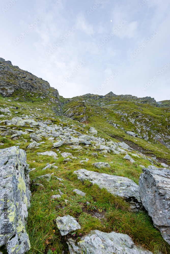 carpathian mountains in summer carpathian mountains in summer