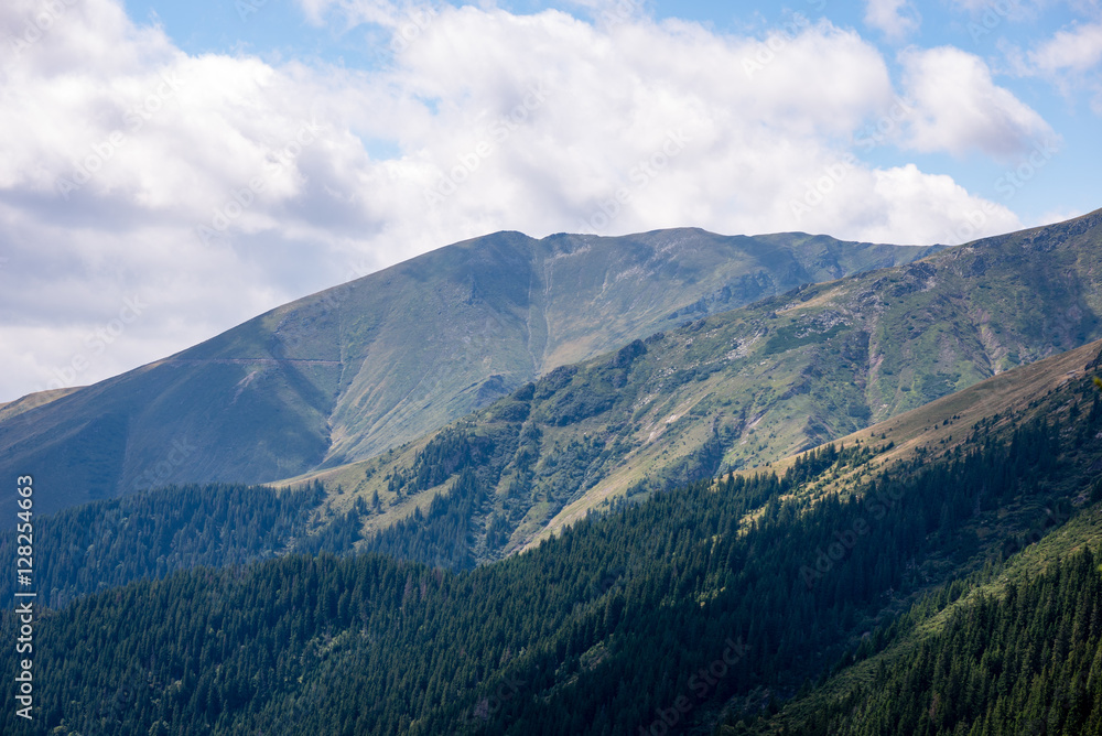carpathian mountains in summer carpathian mountains in summer