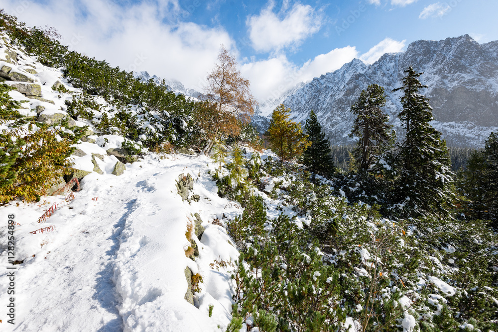 carpathian mountains in winter snow carpathian mountains in winter snow