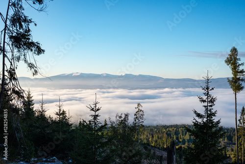 carpathian mountains in winter snow