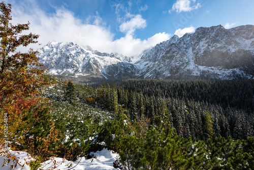 Fototapeta Naklejka Na Ścianę i Meble -  carpathian mountains in winter snow