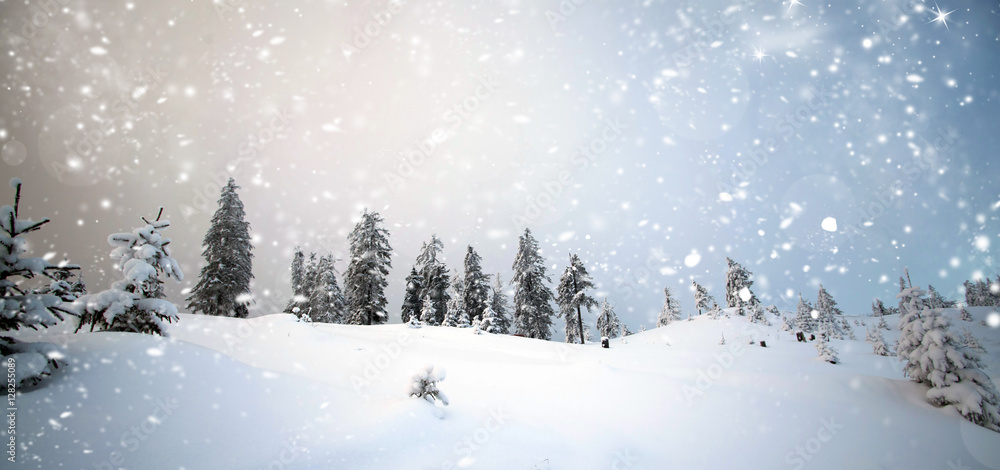 Fototapeta Fantastic winter landscape