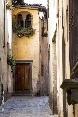Fototapeta Naklejka Na Ścianę i Meble -  Barga (Lucca)