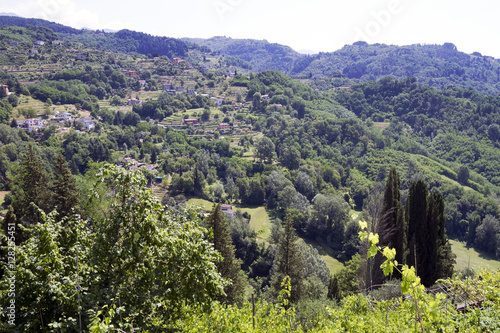 Obraz na plátně Vista sulla Garfagnana da Barga