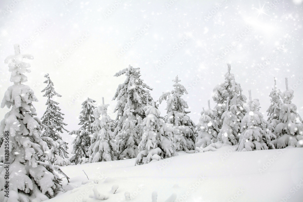 Fototapeta premium Fantastic winter landscape