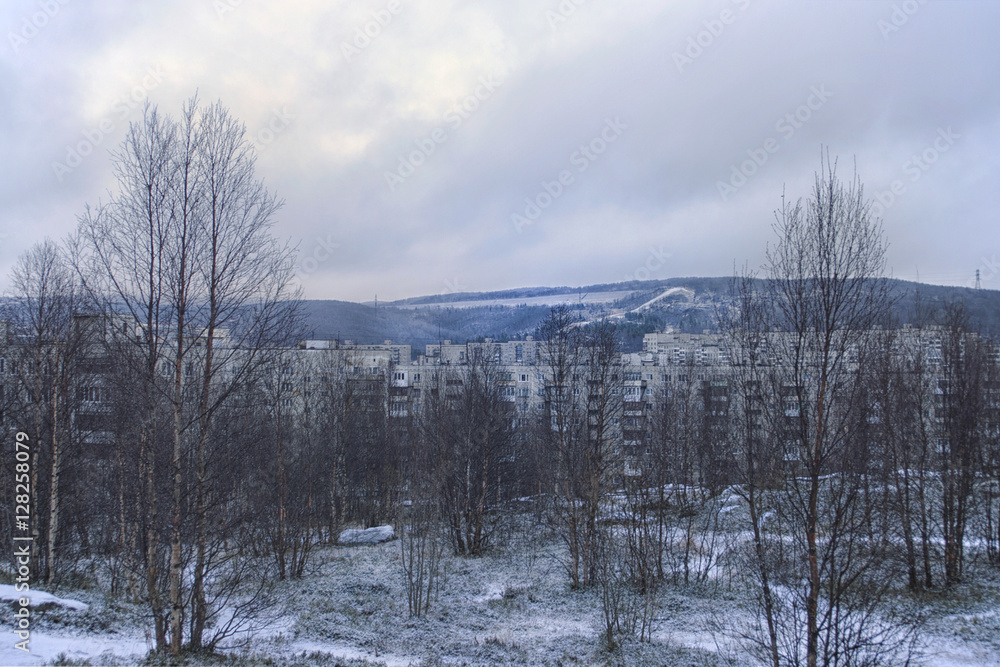 View of the winter trees, house and mountain View of the winter trees, house and mountain