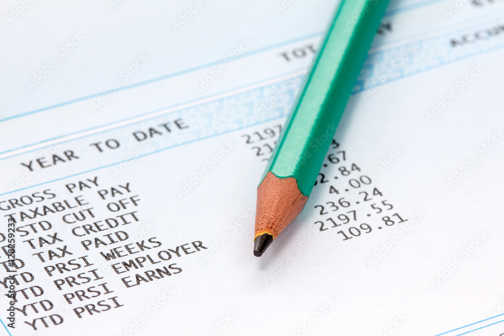 Pencil on the statement of payroll details Pencil on the statement of payroll details