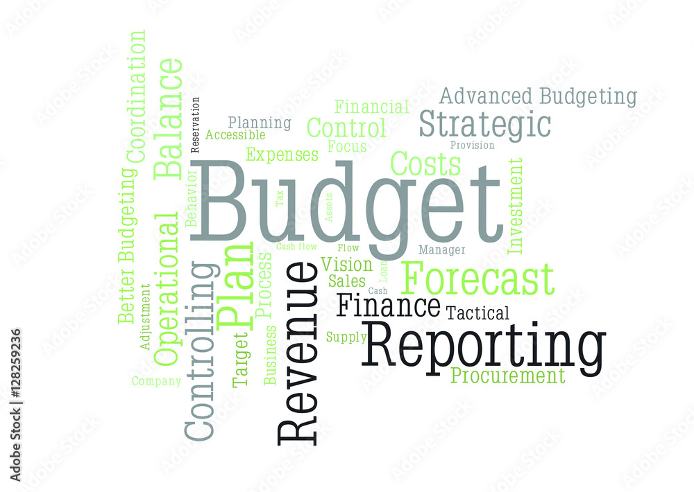Obraz premium Budget word cloud
