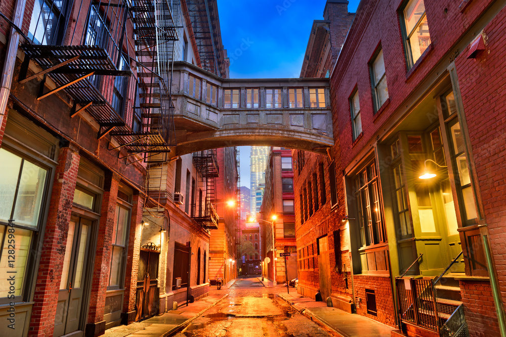 Tribeca Alley in New York City. - obrazy, fototapety, plakaty 