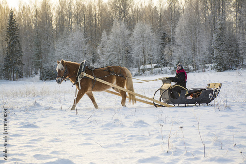 Horse and sleight in winter  © citikka