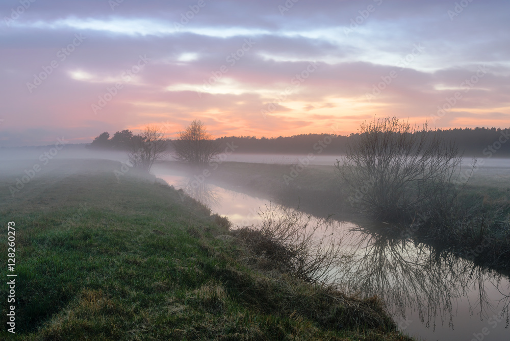 A miracle of nature, misty evening near the river with sunset colors. A miracle of nature, misty evening near the river with sunset colors.