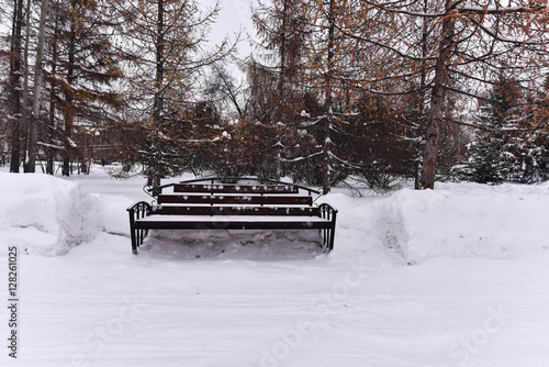 Bench in the park alley covered with snow