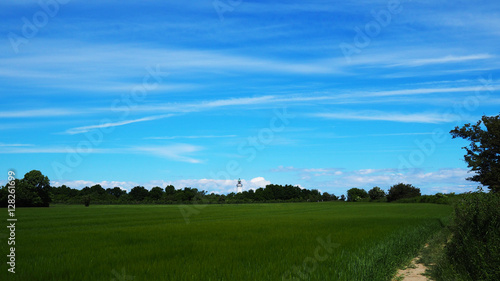 Green field and blue skies