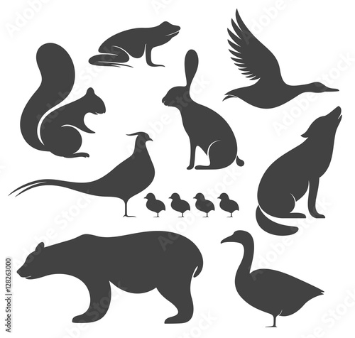 Wild Animals. Silhouette
