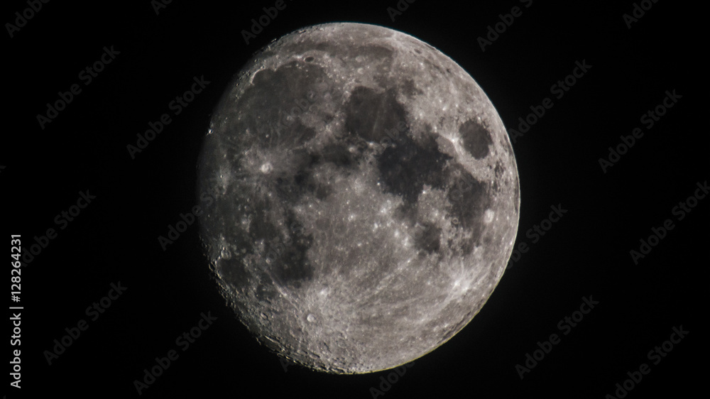 Fototapeta premium The moon