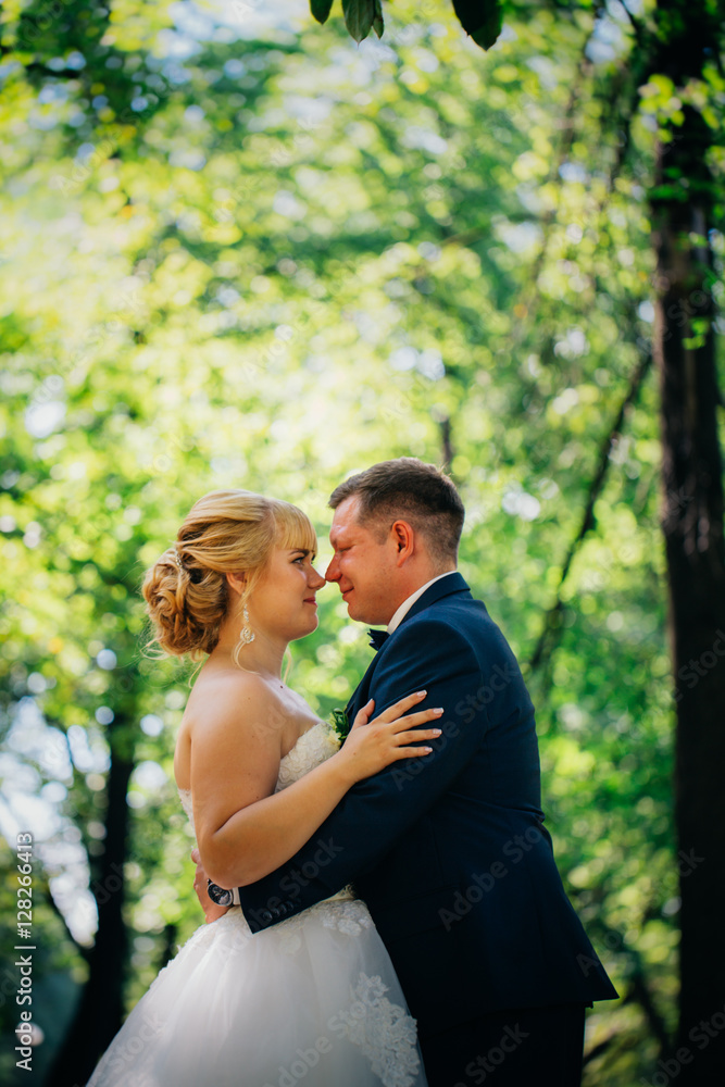 couple bride and groom on the background of the park's trees couple bride and groom on the background of the park's trees