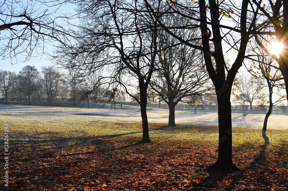 A frosty Winter landscape.