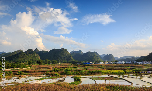 Rice Farm Land Outside The Village
