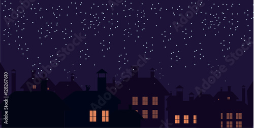 Silhouette of the city and night sky. Falling snow. Cat on the roof.